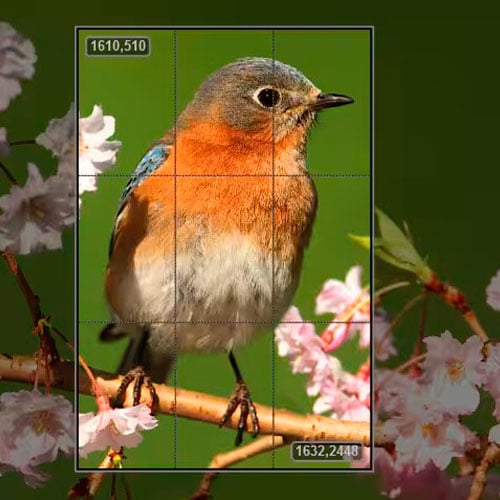 Corel AfterShot Pro 3 (Windows) Lifetime Cd Key Global